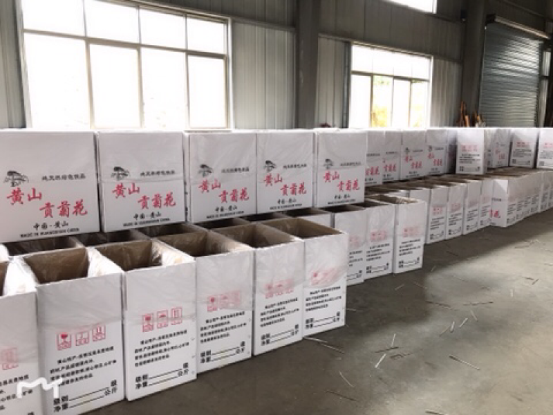 七月菊现货供应，基地直发