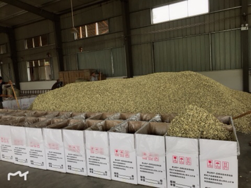 七月菊现货供应，基地直发