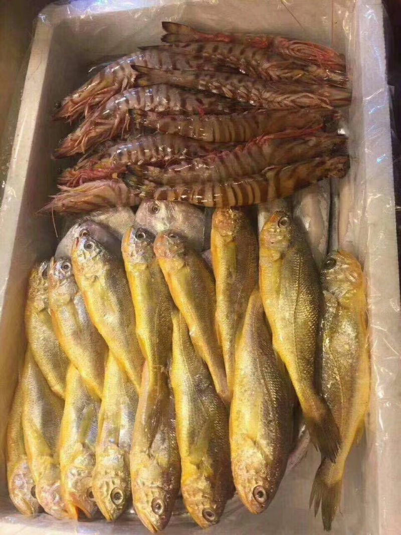 黄花鱼