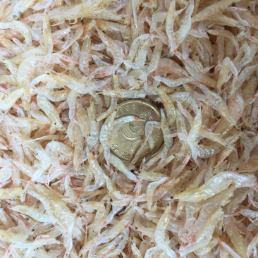 烘干生虾皮0.15一0.2