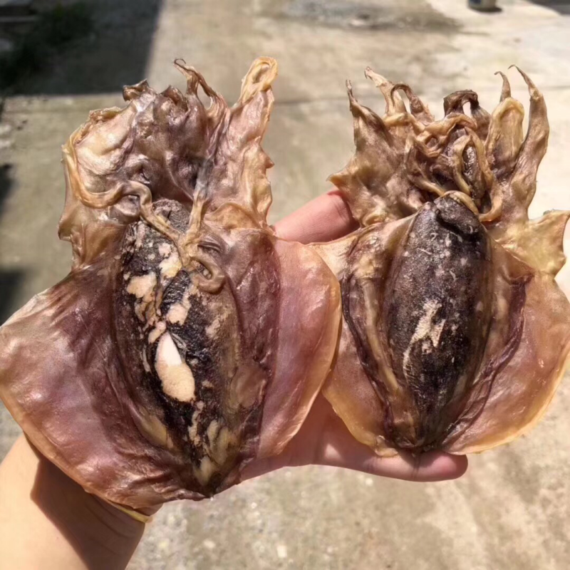 墨鱼干