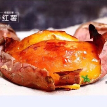 常年供应，有正规授权，正规正宗烟薯25
