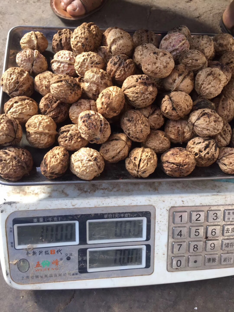 云南山白皮坚果干果核桃