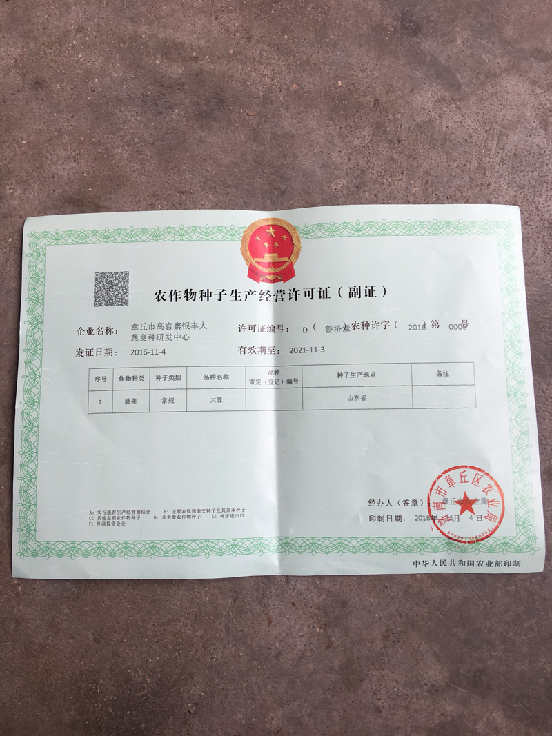 日本晚抽大葱种子专业育种40年（免费技术指导）
