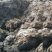 四川草原草炭土，腐殖土，大量批发，大量。