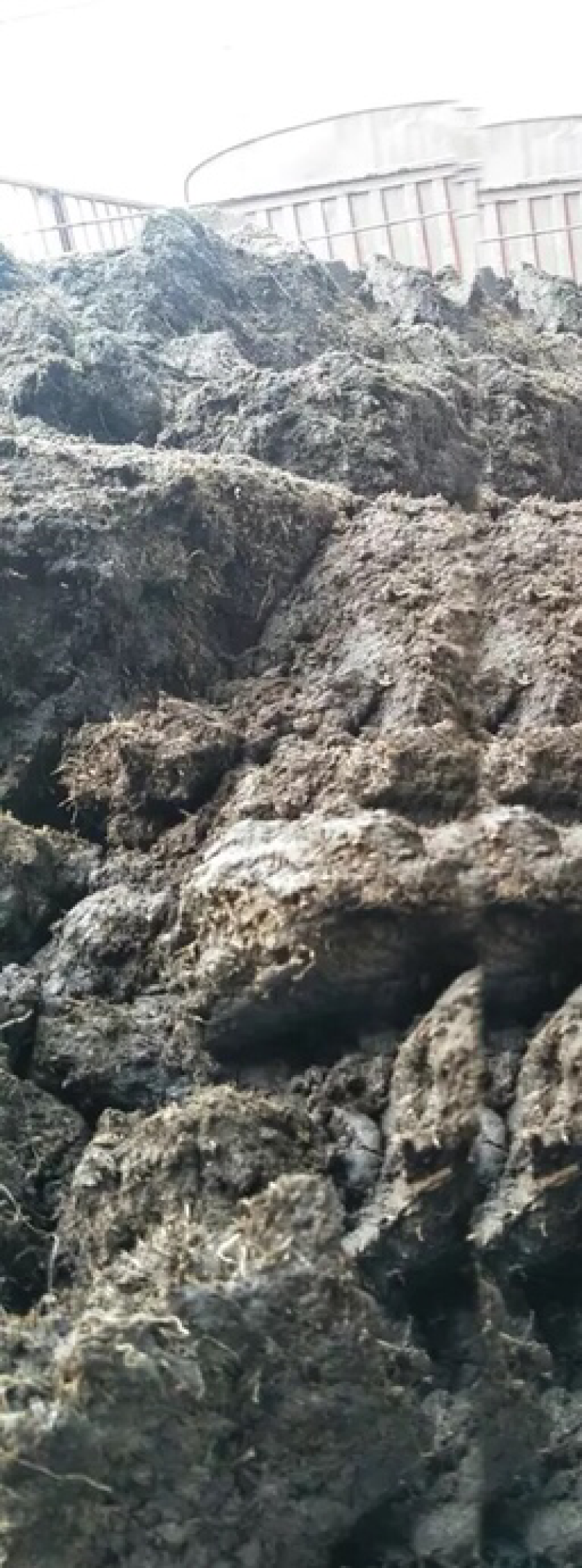 四川草原草炭土，腐殖土，大量批发，大量。