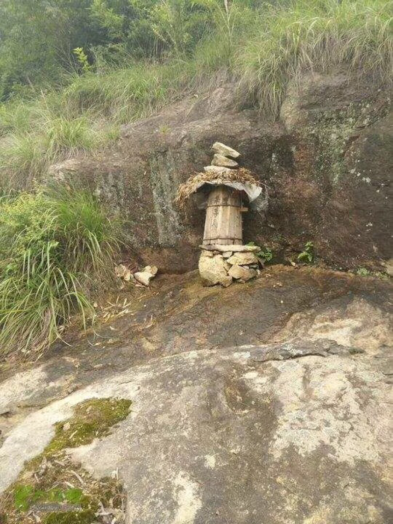 纯天然蜂蜜