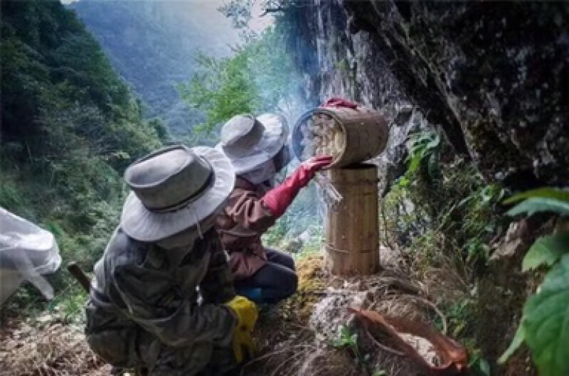 纯天然蜂蜜