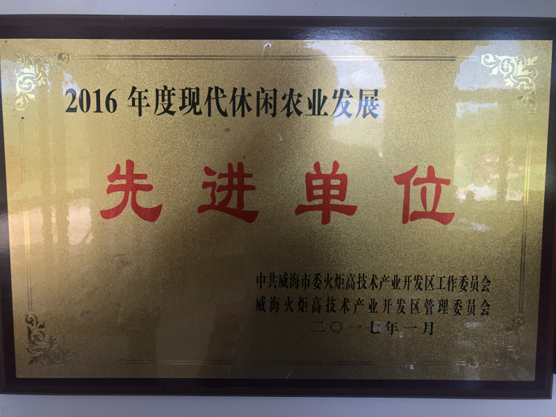 威海市北方产地优质清香核桃