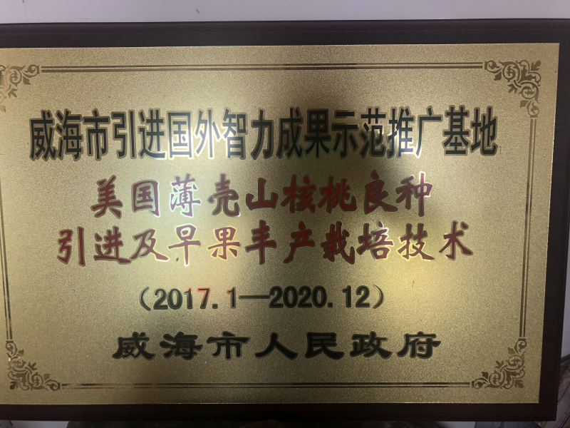 威海市北方产地优质清香核桃