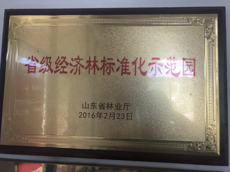 威海市北方产地优质清香核桃
