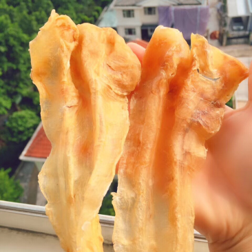 鱼胶花胶北海鳘鱼胶