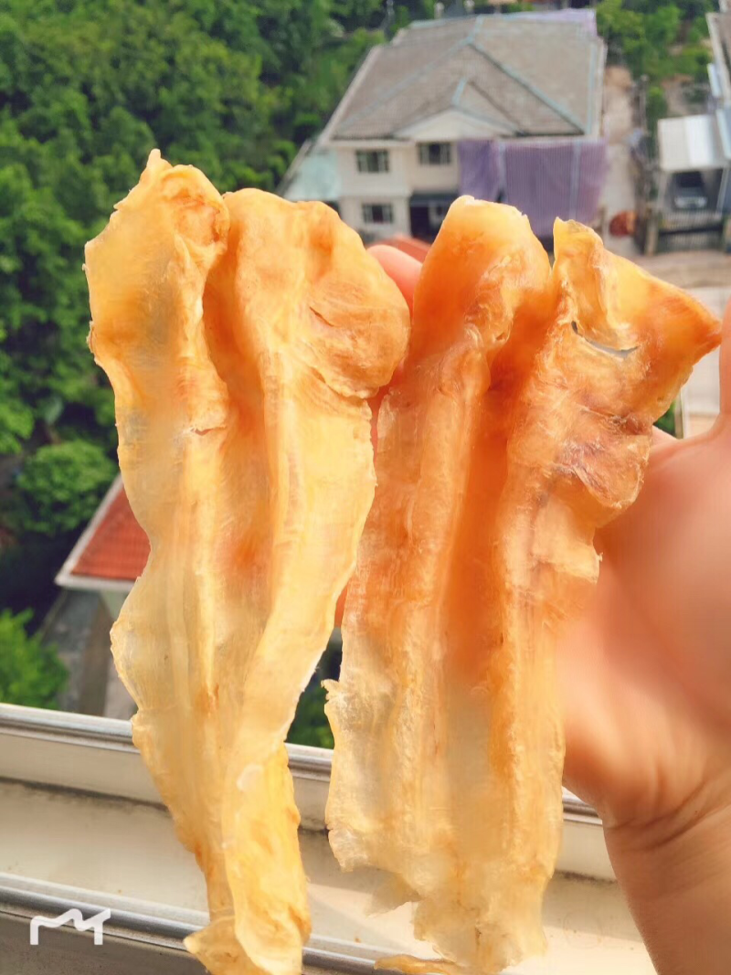 鱼胶花胶北海鳘鱼胶