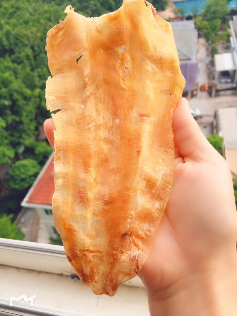 鱼胶花胶北海鳘鱼胶