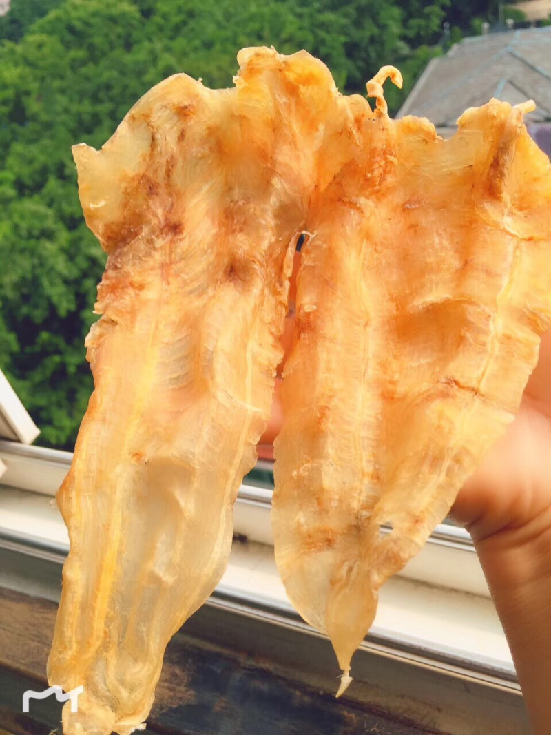 鱼胶花胶北海鳘鱼胶