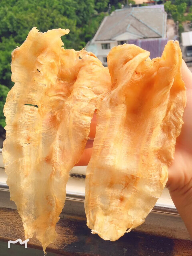 鱼胶花胶北海鳘鱼胶