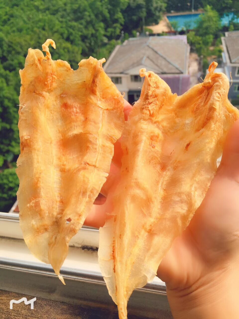 鱼胶花胶北海鳘鱼胶