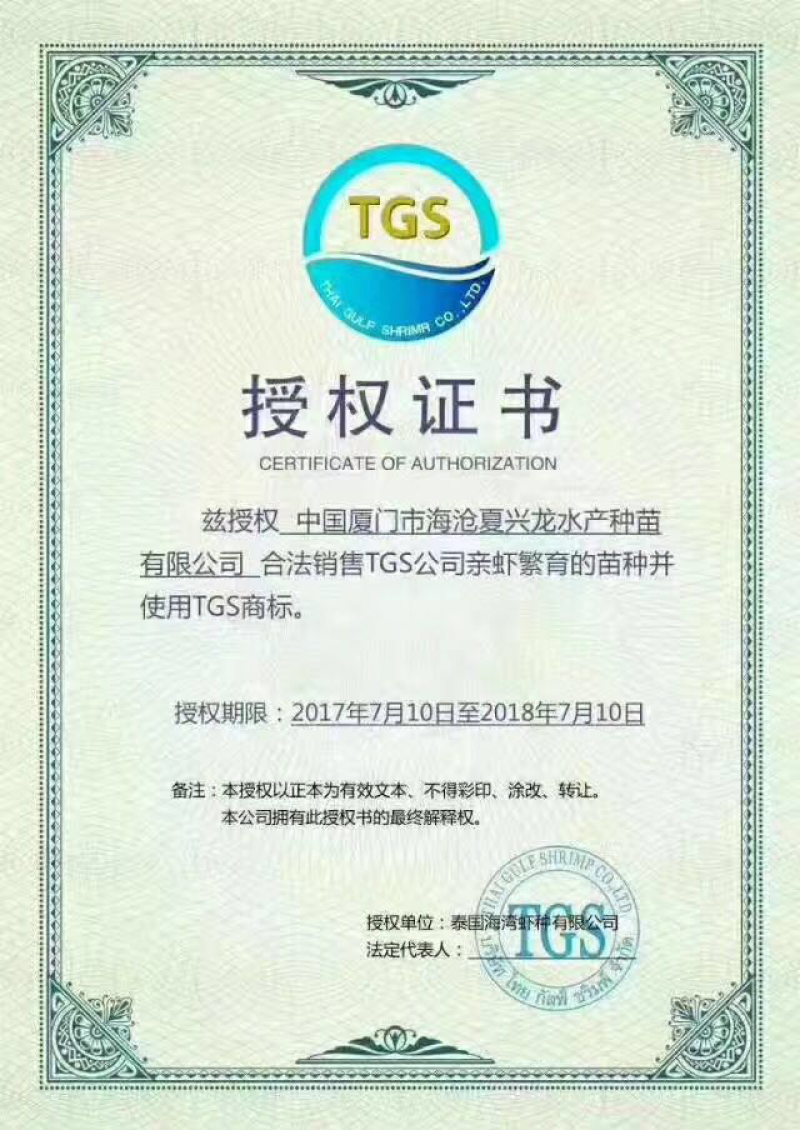 南美白对虾苗