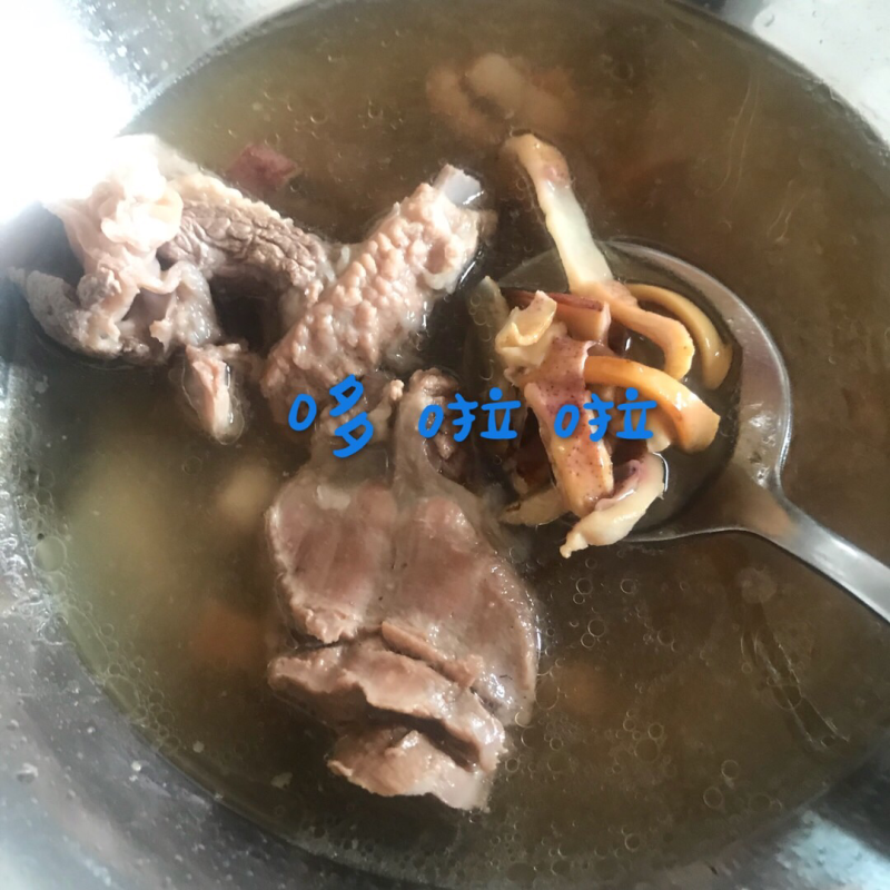 鱿鱼母