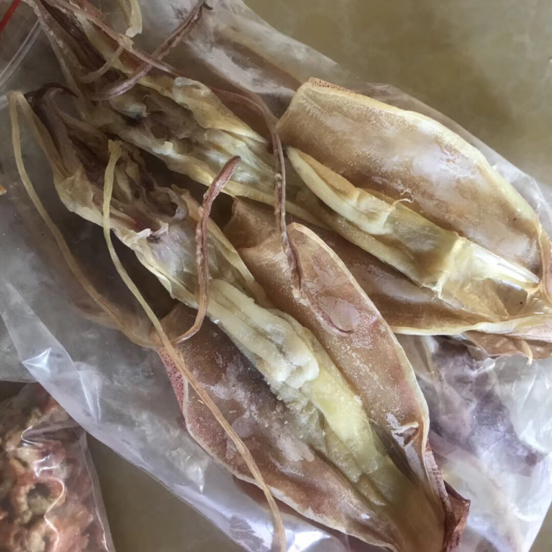 鱿鱼母