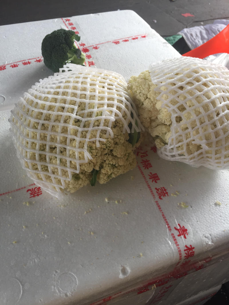 西红市