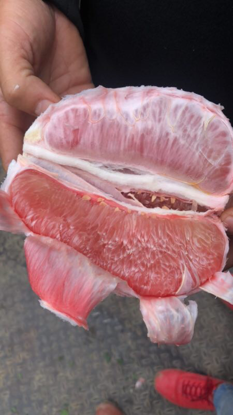 红柚