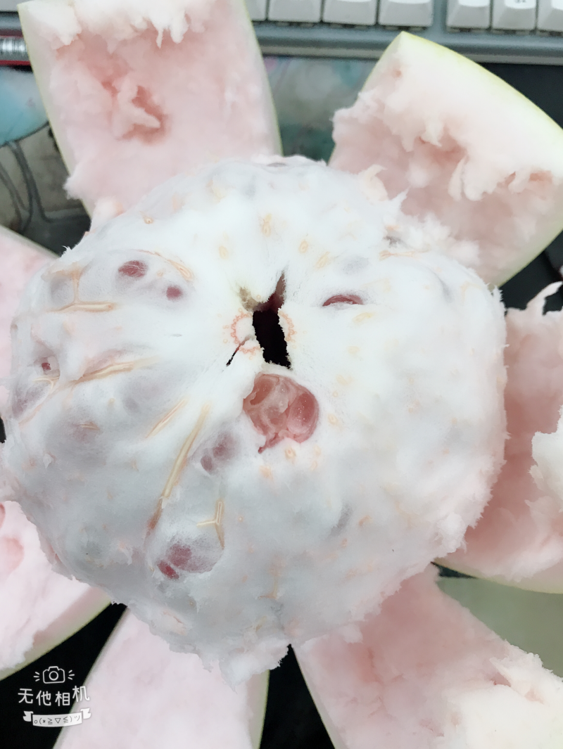 红柚