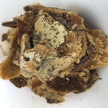 纯野生蜂蜜