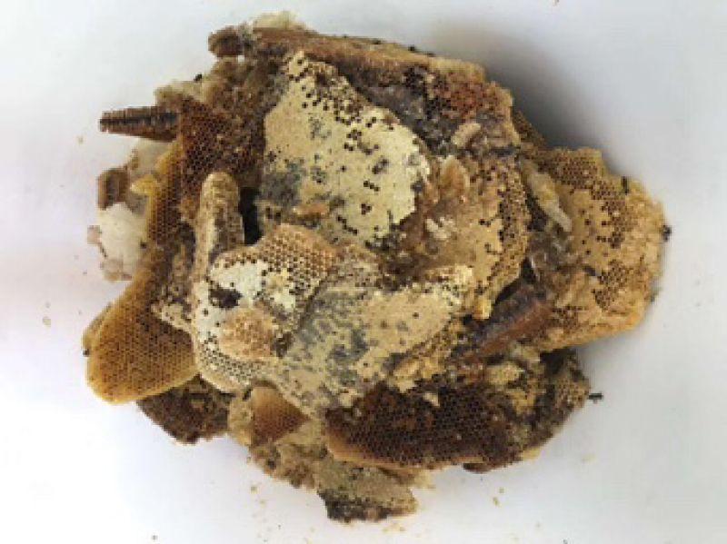 纯野生蜂蜜