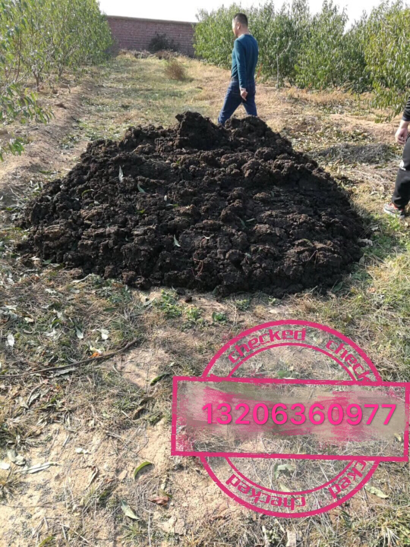 国家扶持村大量金秋红蜜