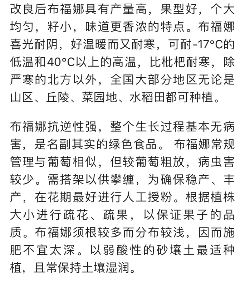 大量供应布福娜