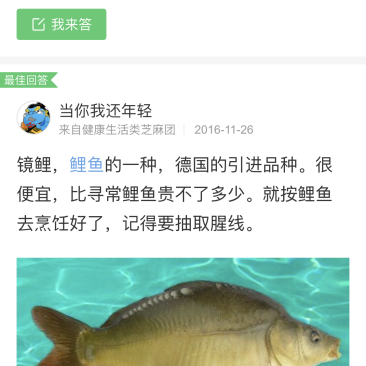 镜鲤德国品牌