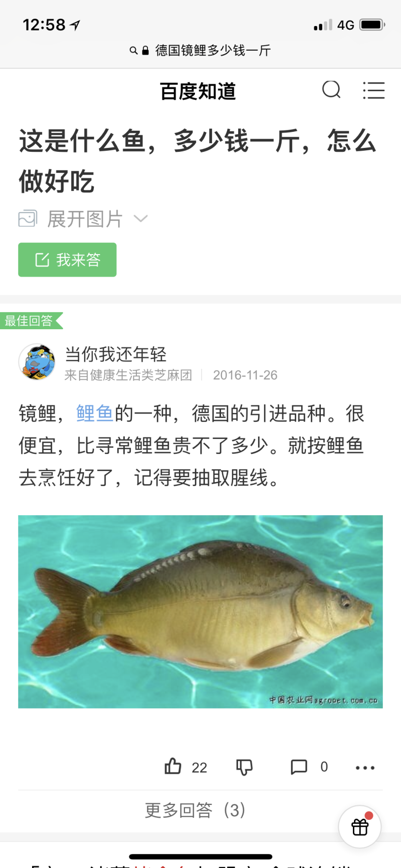 镜鲤德国品牌
