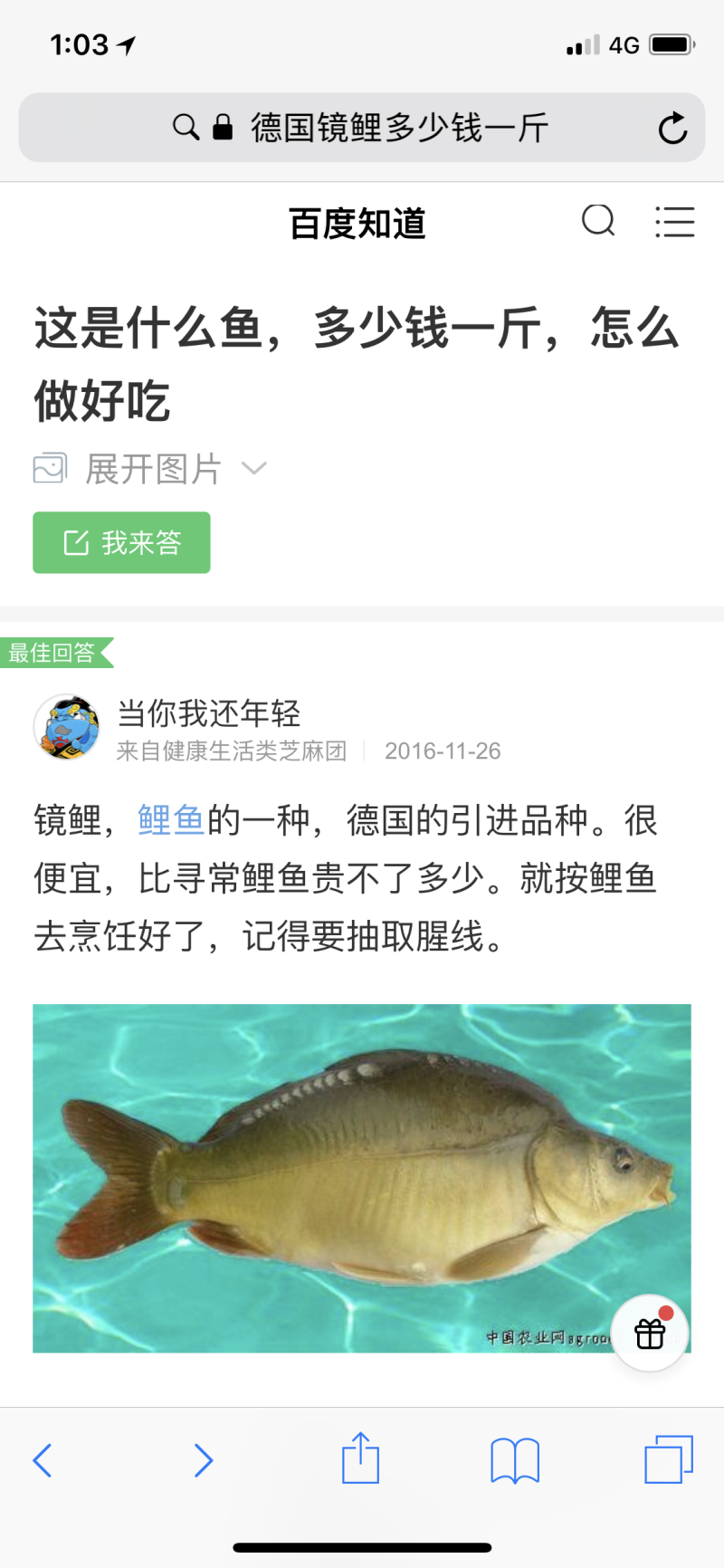 镜鲤德国品牌