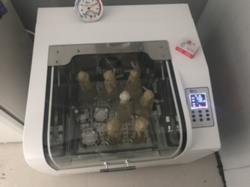 菌包菌种供应