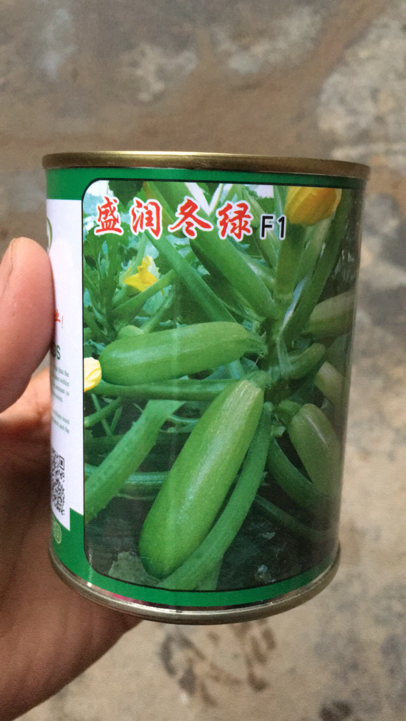 耐寒冬绿葫芦种子一盛润冬绿
