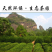 武夷山岩茶大红袍乌龙茶250克/罐×2罐/件包邮
