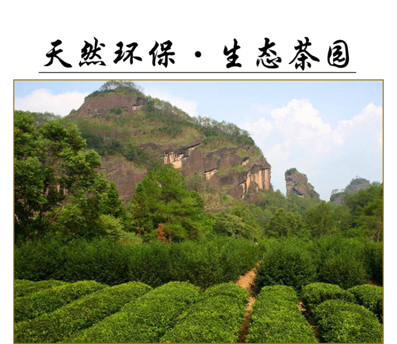 武夷山岩茶大红袍乌龙茶250克/罐×2罐/件包邮