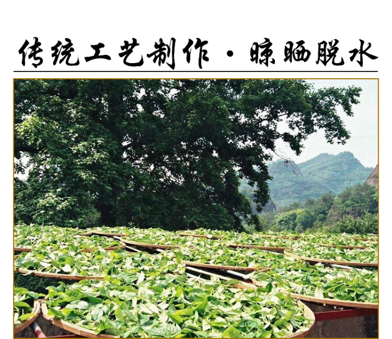 武夷山岩茶大红袍乌龙茶250克/罐×2罐/件包邮