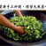 武夷山岩茶大红袍乌龙茶250克/罐×2罐/件包邮