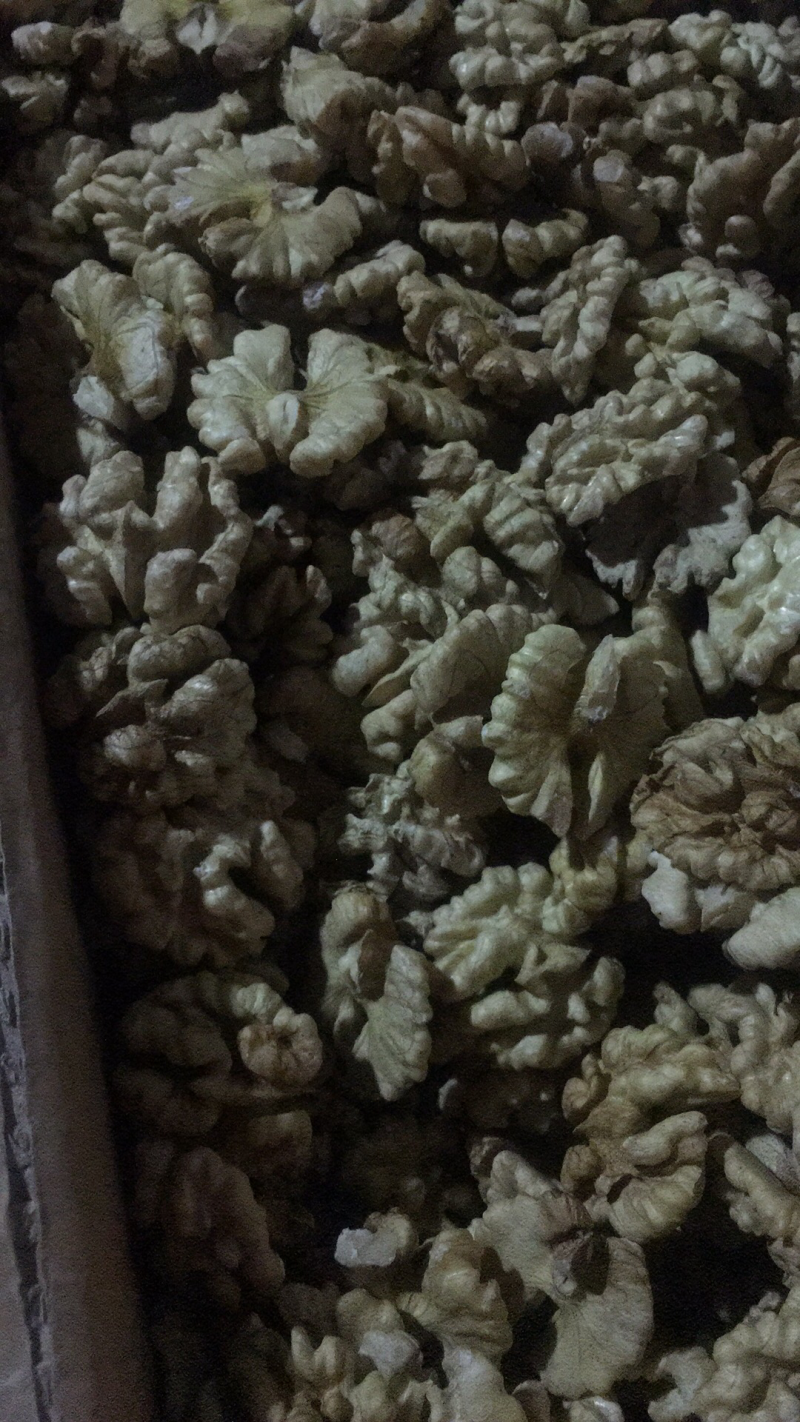 云南核桃大量上市