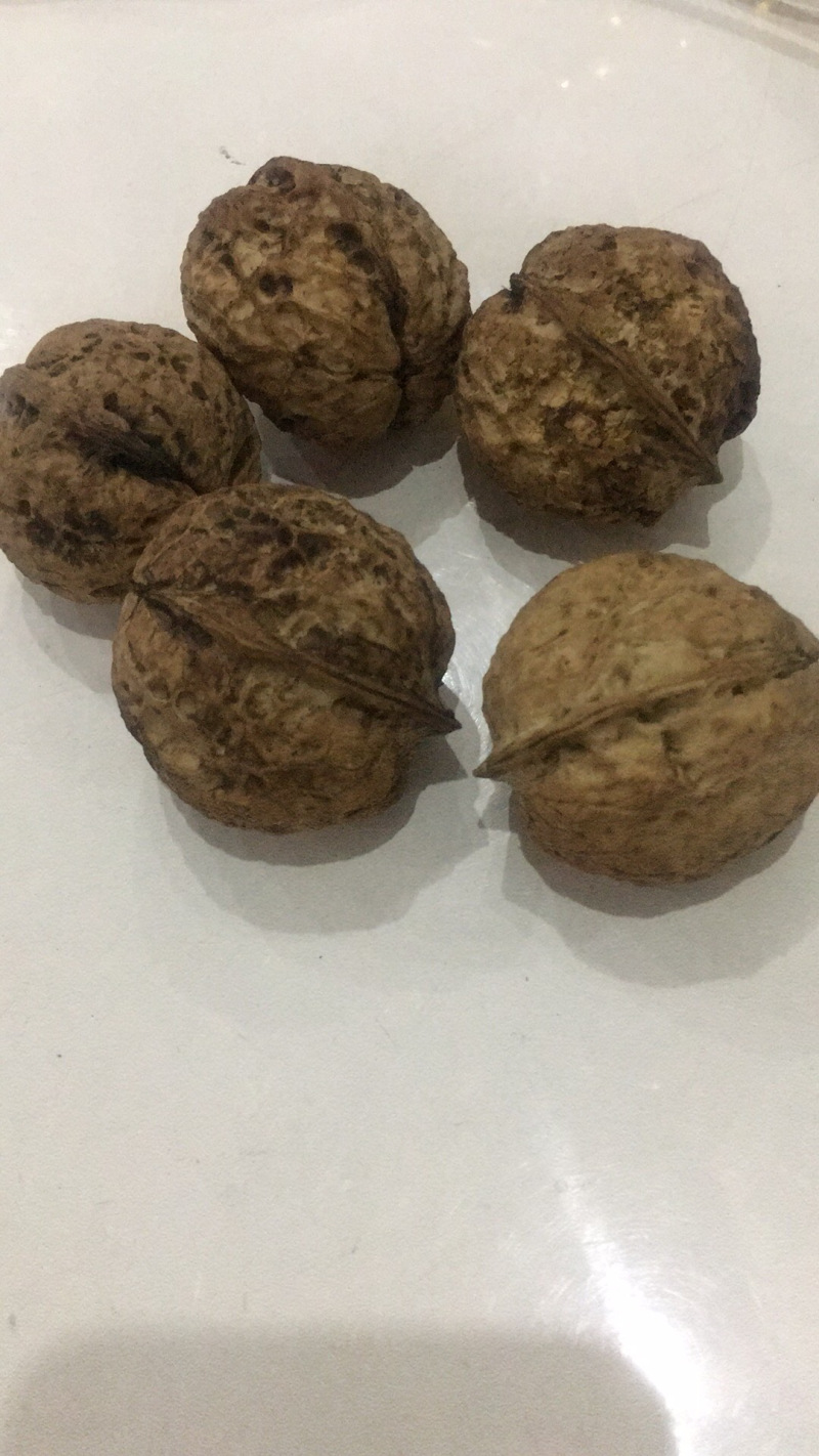 云南核桃大量上市