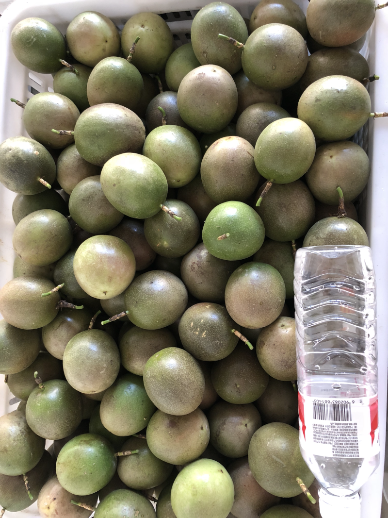 广西高山百香果