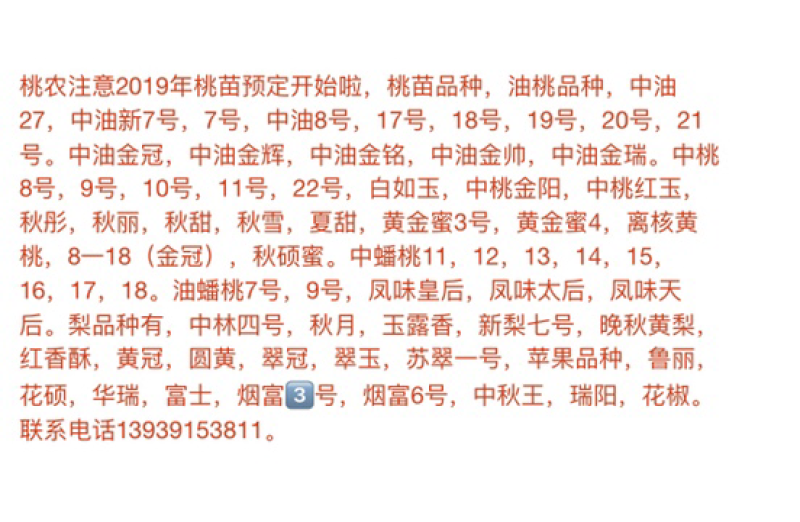 岀售桃苗，
