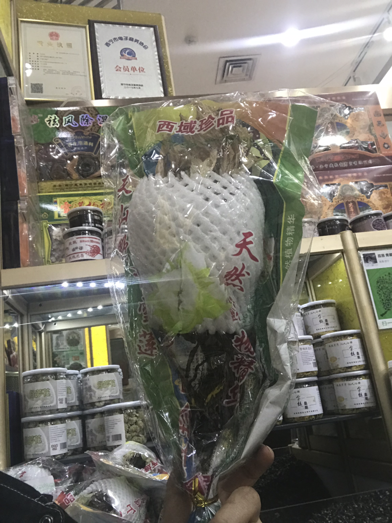 天山雪莲