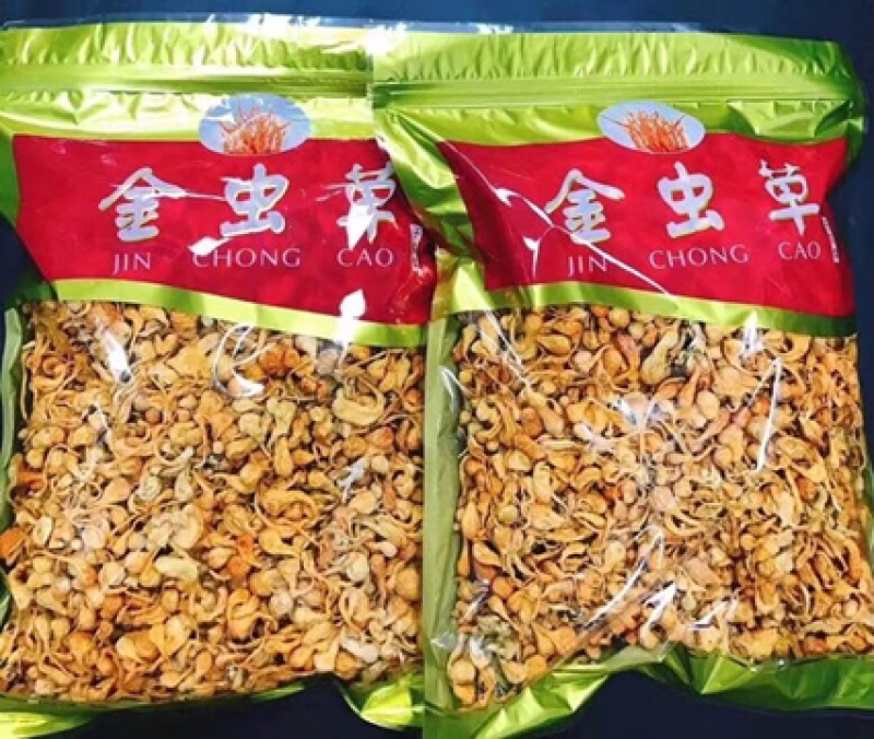 虫草花