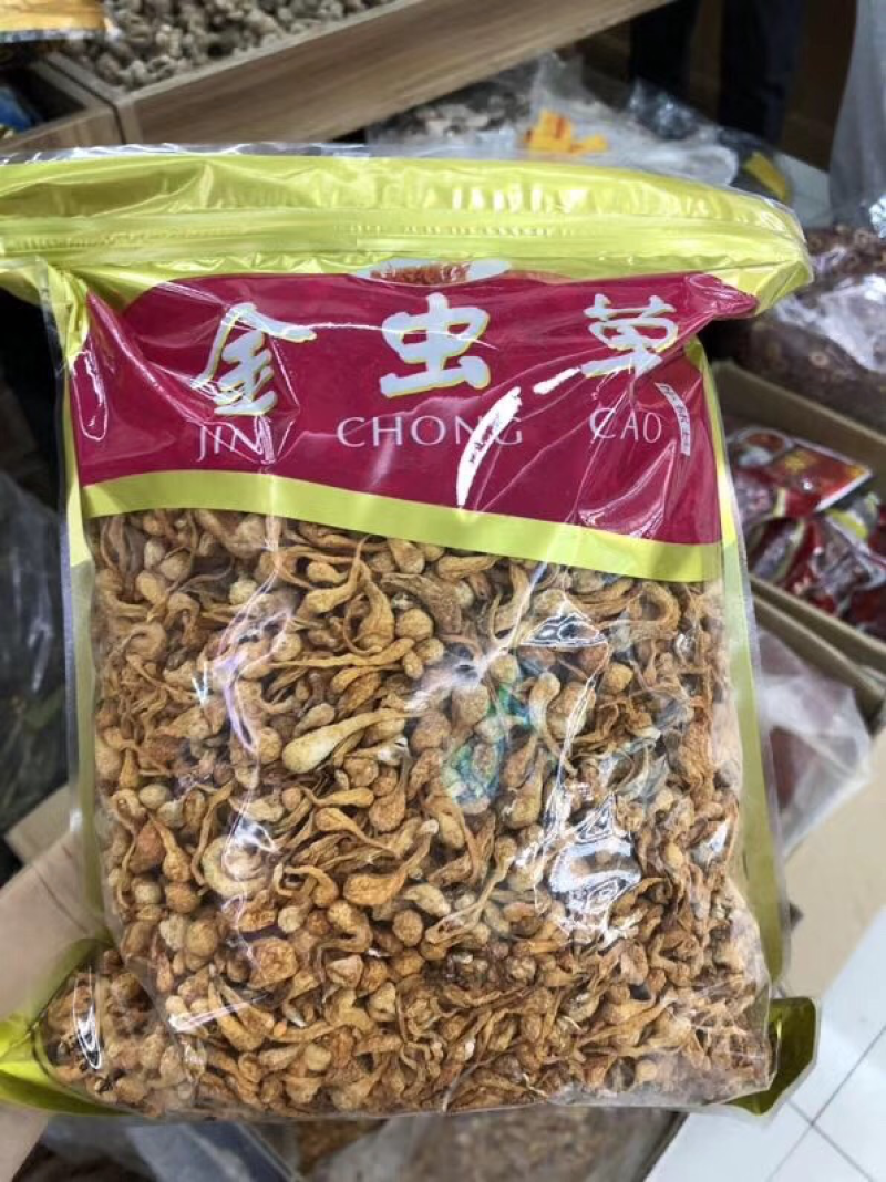 虫草花