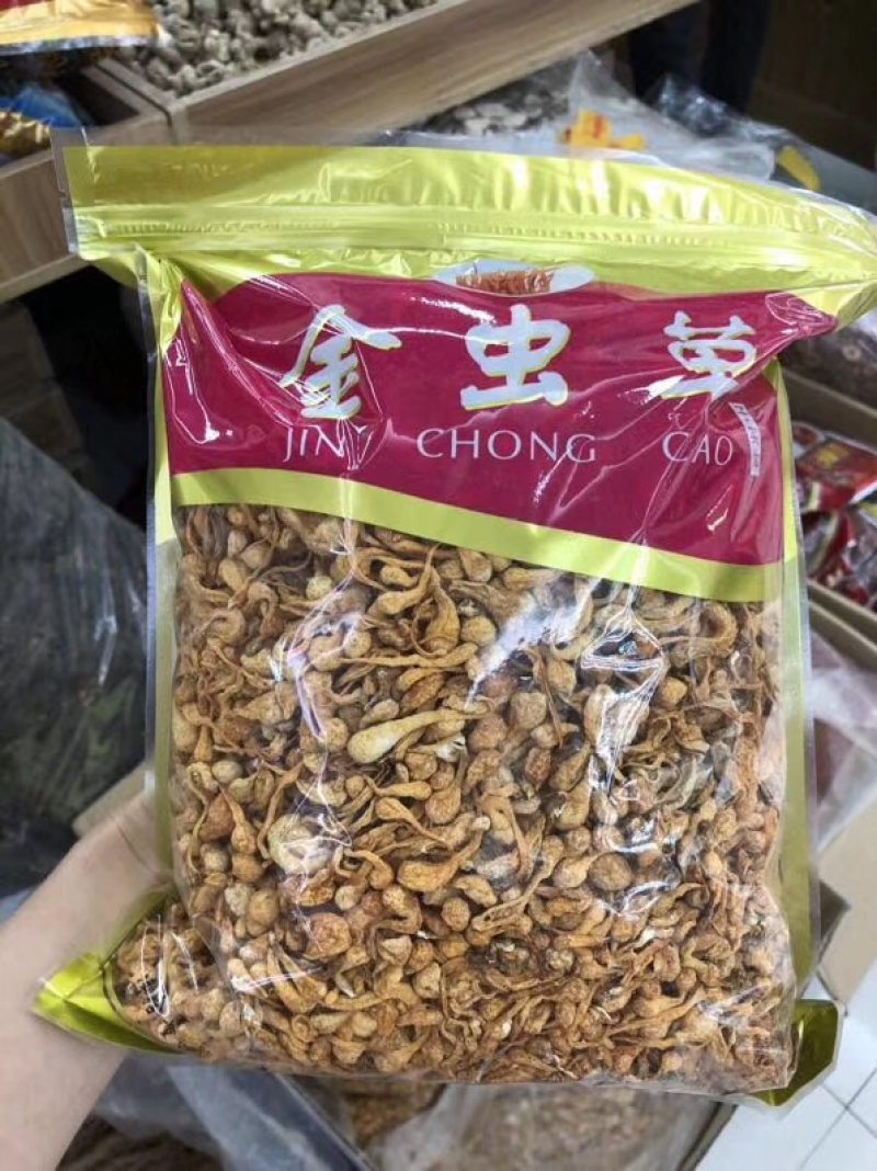 虫草花