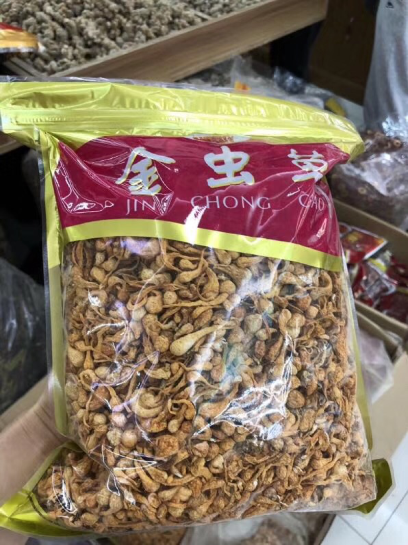 虫草花