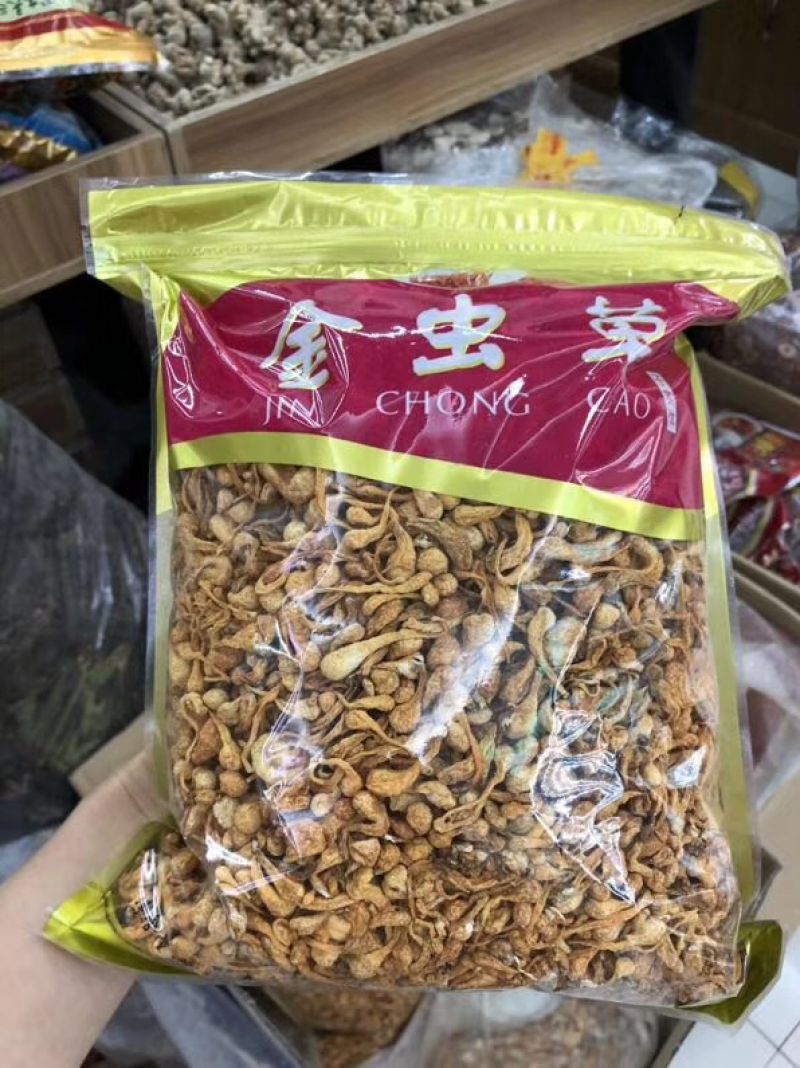 虫草花